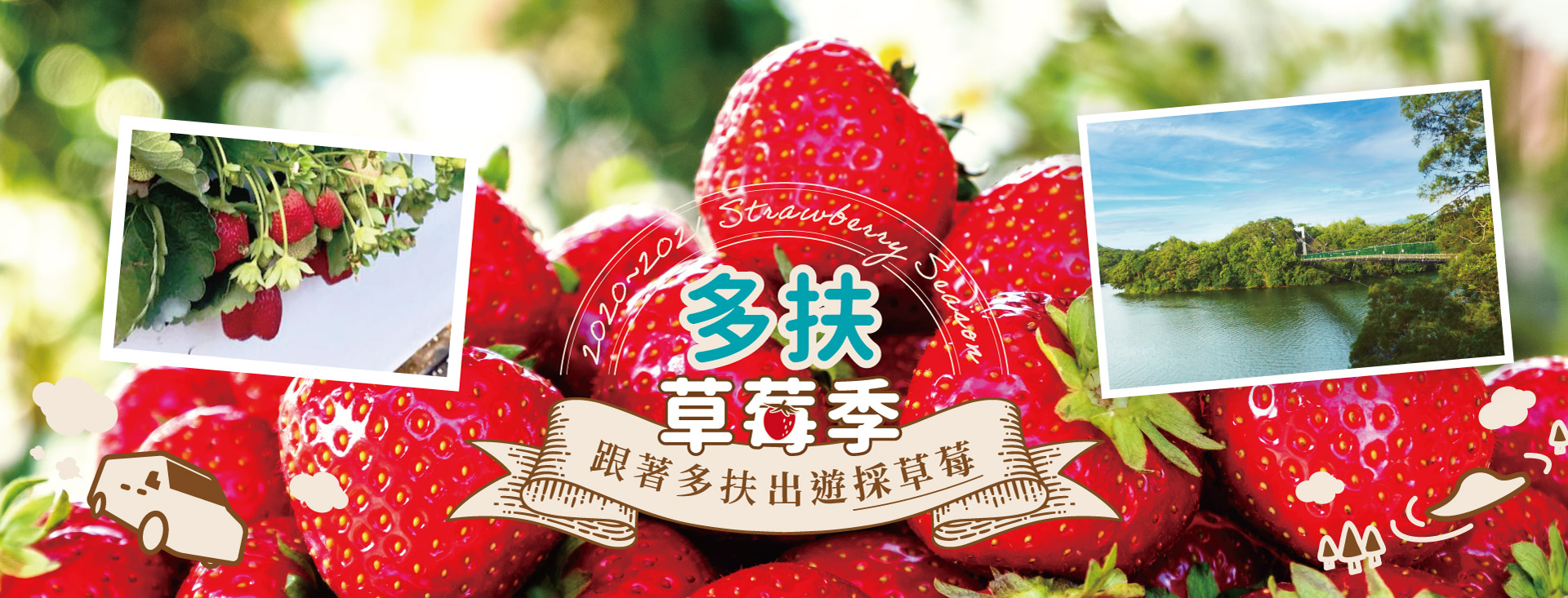 多扶草莓季,天天可出發,現採當季新鮮草莓,行程安排不緊湊,放心好好玩。