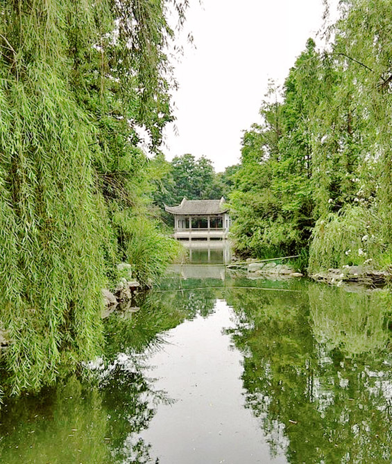 每日主圖