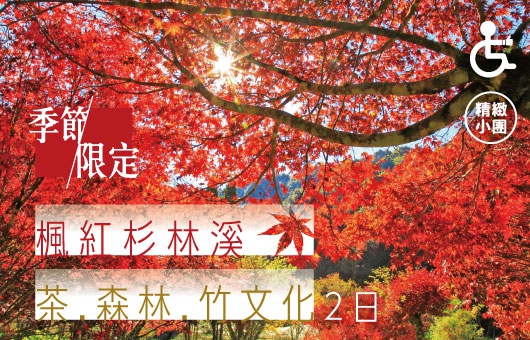 【季節限定】 楓紅杉林溪|茶.森林.竹文化2日