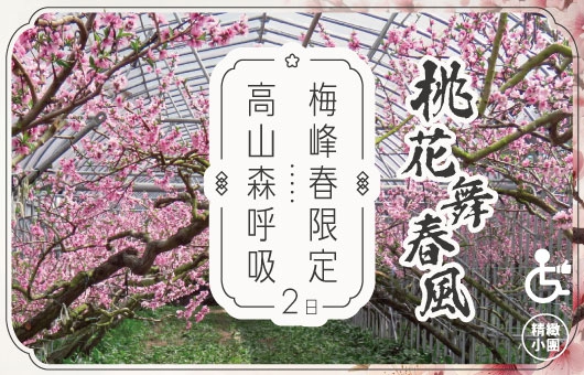 【桃花舞春風】梅峰春限定.高山森呼吸2日