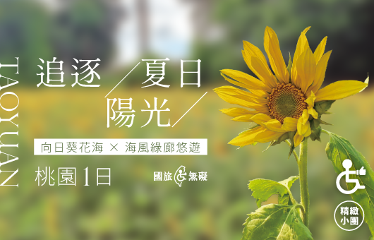【國旅無礙】追逐夏日陽光｜向日葵花海 × 海風綠廊悠遊  桃園一日遊
