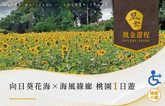 凰金遊程【國旅無礙】追逐夏日陽光｜向日葵花海 × 海風綠廊悠遊  桃園一日遊
