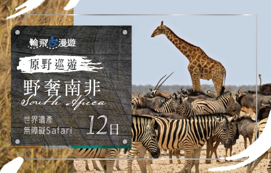 【輪飛漫遊】2026 原野巡遊｜野奢南非 世界遺產 無障礙Safari 12日